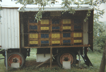 Wanderwagen in der Tracht