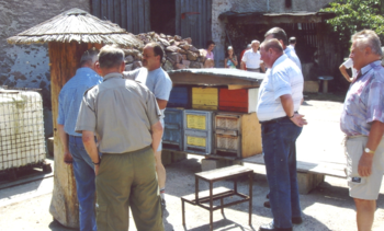 Erfahrungsaustausch am Bienenstand